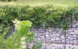small-pic08 Gabion