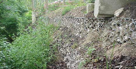 Bio Engineering Example Bio Engineering Example