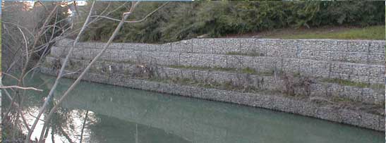 Stream Bank Protection